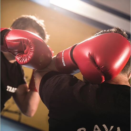 Sport-Thieme Boxhandschuhe "Workout" 2 Sport-Thieme Boxhandschuhe "Workout" – Bild 2