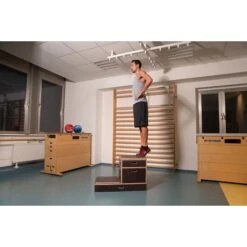 Sport-Thieme Plyobox "Kombi" -Geschäft Für Fitnessgeräte 161 0518 7