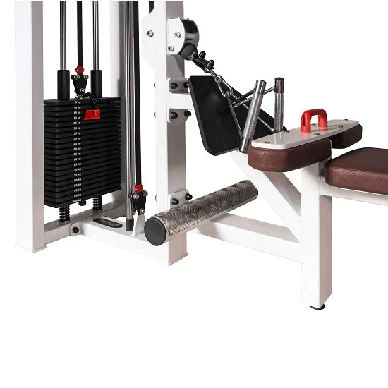 Sport-Thieme Latzug-/Latruder-Maschine 2 Sport-Thieme Latzug-/Latruder-Maschine – Bild 2