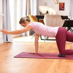 Spinefitter By Sissel Rückentrainer "Mini" 7 Spinefitter By Sissel Rückentrainer "Mini" -Geschäft Für Fitnessgeräte 340 3408 3